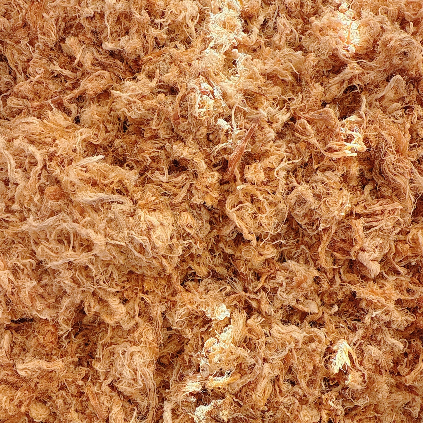 A21-Pork Floss &Fish Sause - Chà Bông Thịt Thăn Nước Mắm Xé Sợi