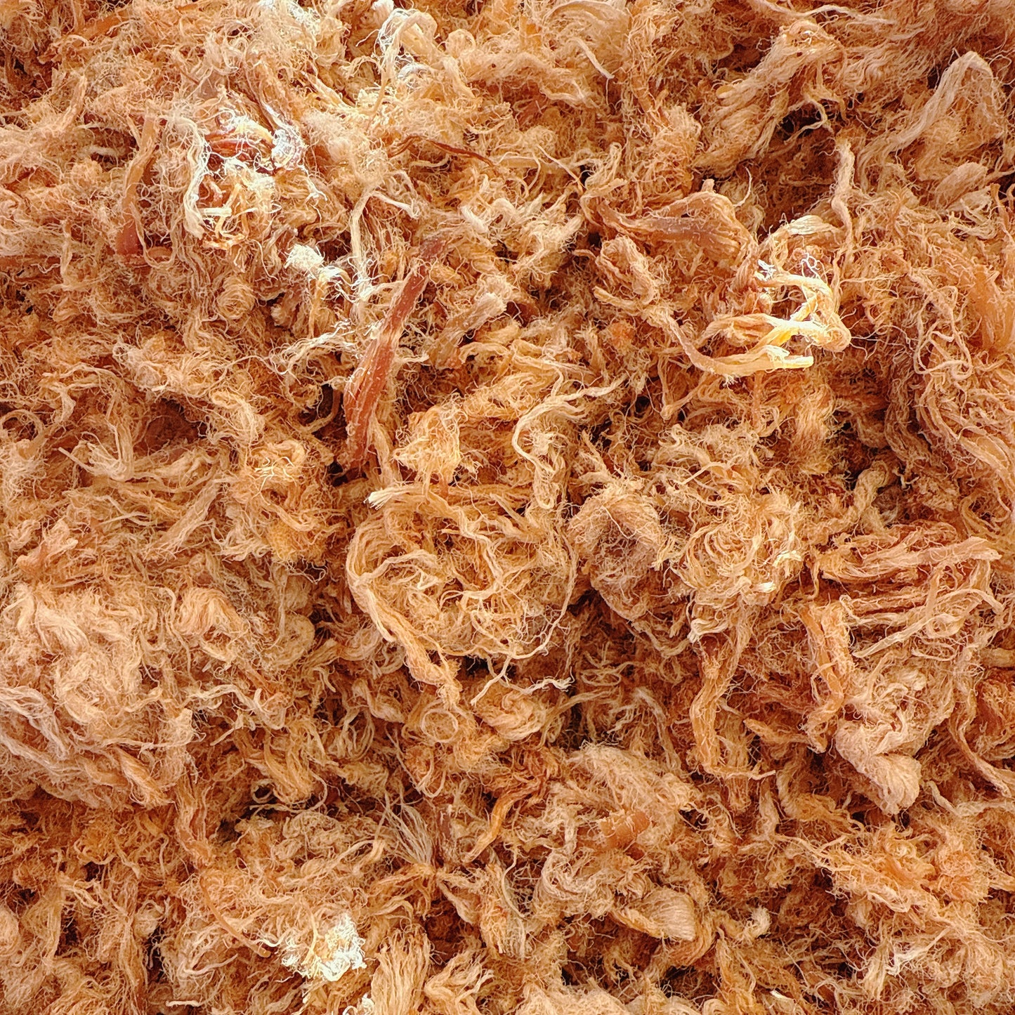 A21-Pork Floss &Fish Sause - Chà Bông Thịt Thăn Nước Mắm Xé Sợi