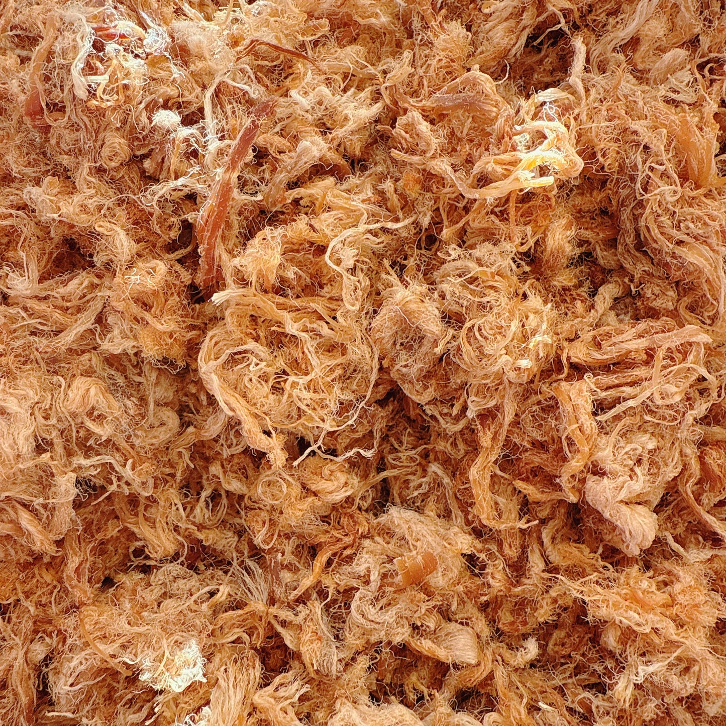 A21-Pork Floss &Fish Sause - Chà Bông Thịt Thăn Nước Mắm Xé Sợi