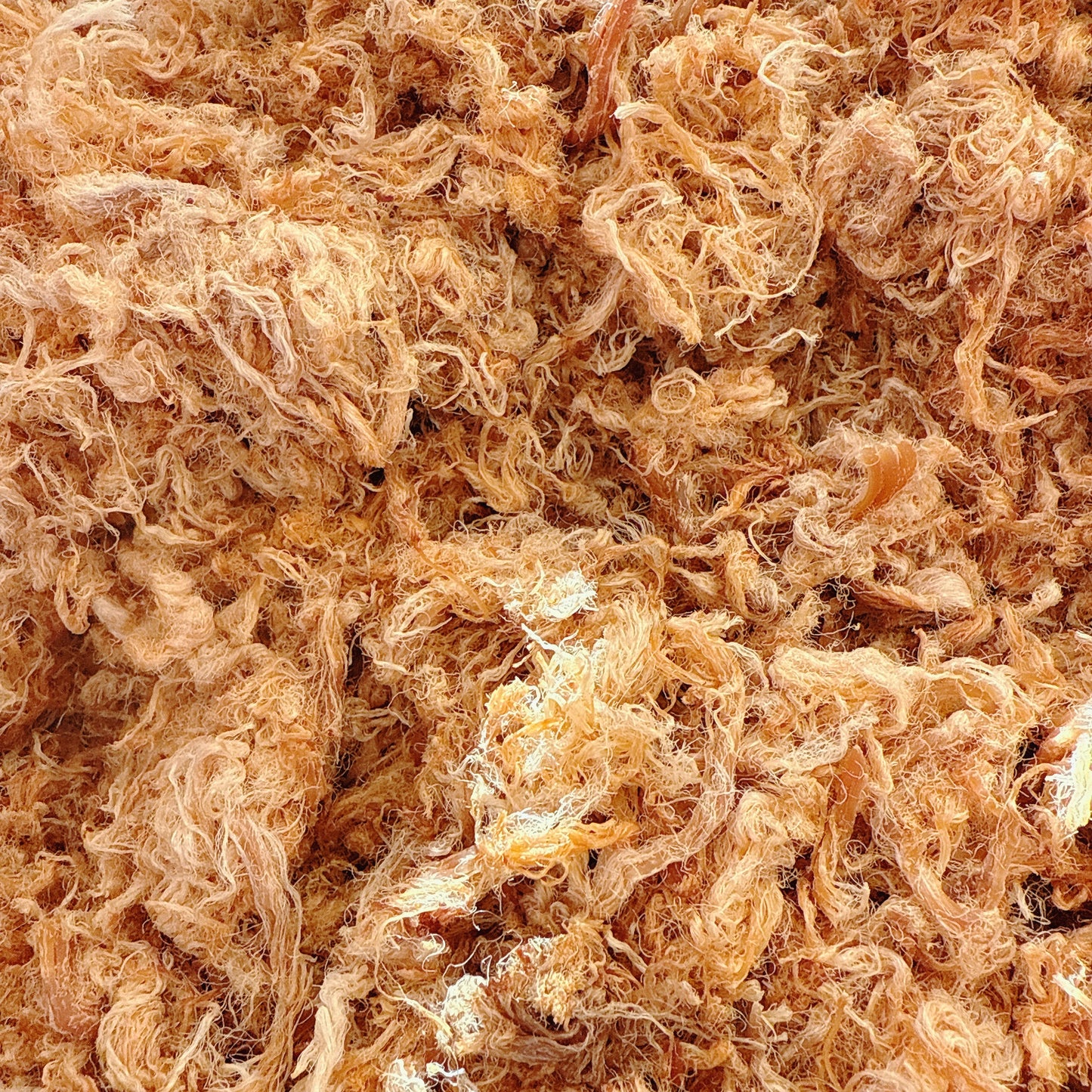 A21-Pork Floss &Fish Sause - Chà Bông Thịt Thăn Nước Mắm Xé Sợi