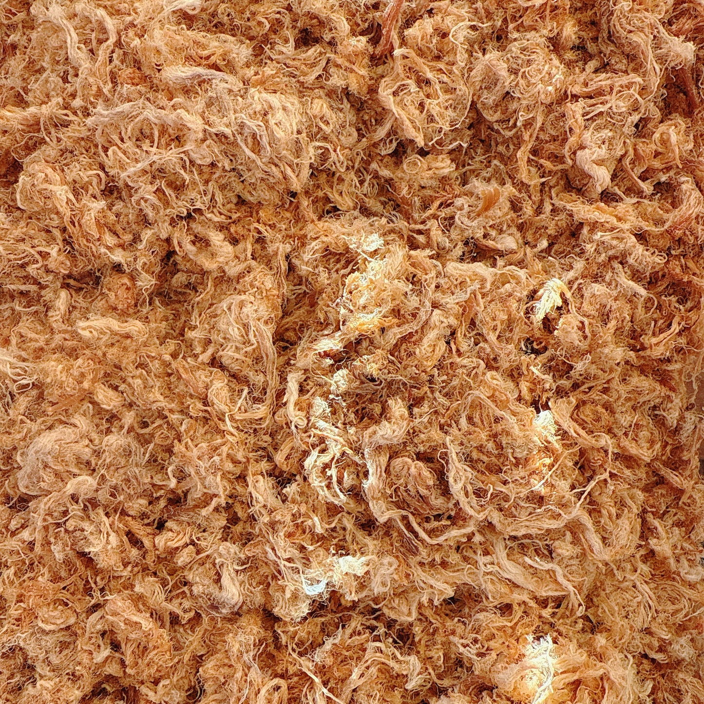 A21-Pork Floss &Fish Sause - Chà Bông Thịt Thăn Nước Mắm Xé Sợi