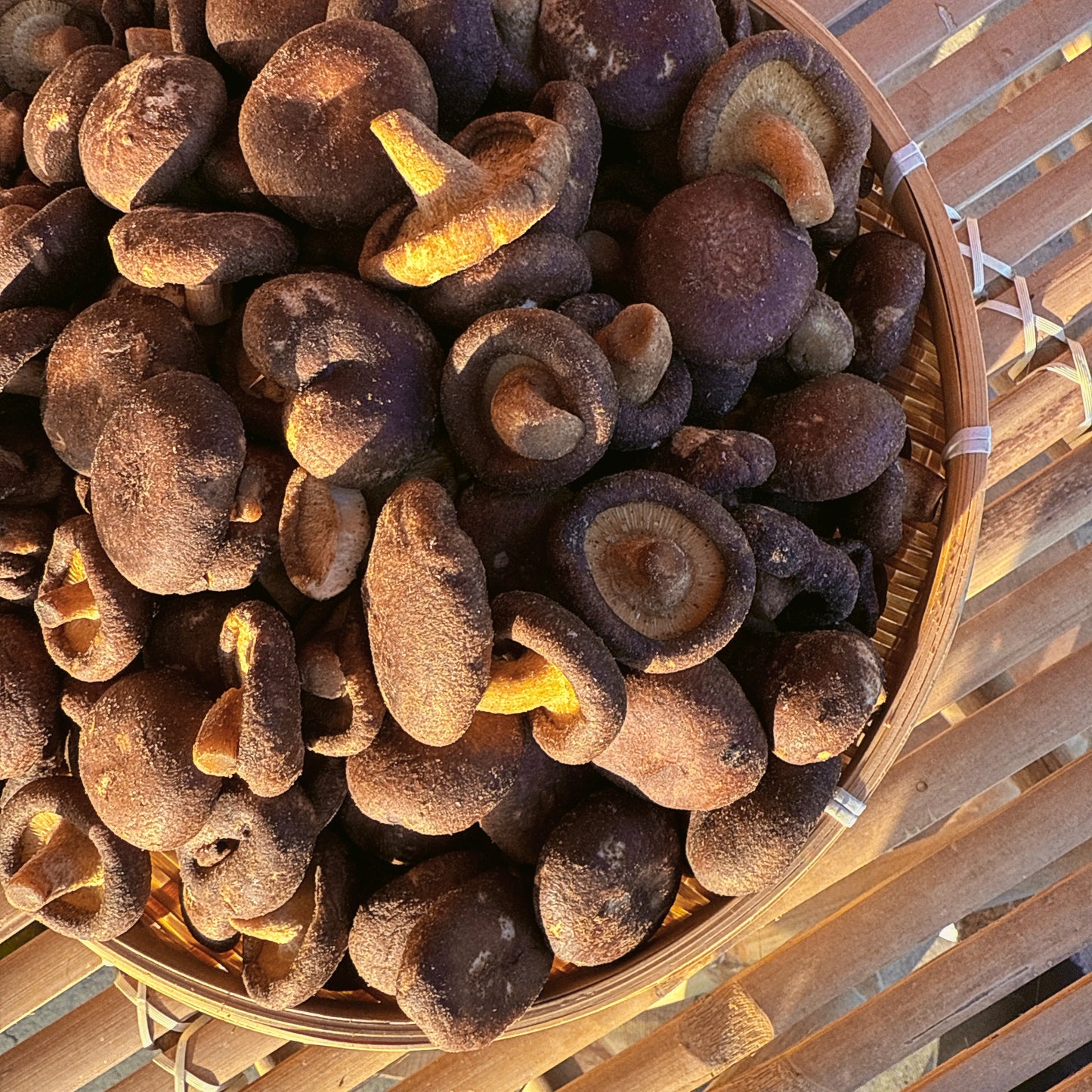 C28-crispy Mushroom -Nấm Đông Cô Sấy Giòn