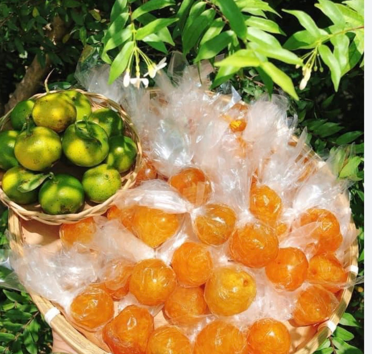 C44-whole Kumquat Wrapped- Mứt Tắc Quấn Nguyên Trái