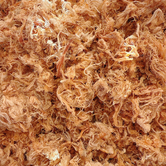 A21-Pork Floss &Fish Sause - Chà Bông Thịt Thăn Nước Mắm Xé Sợi
