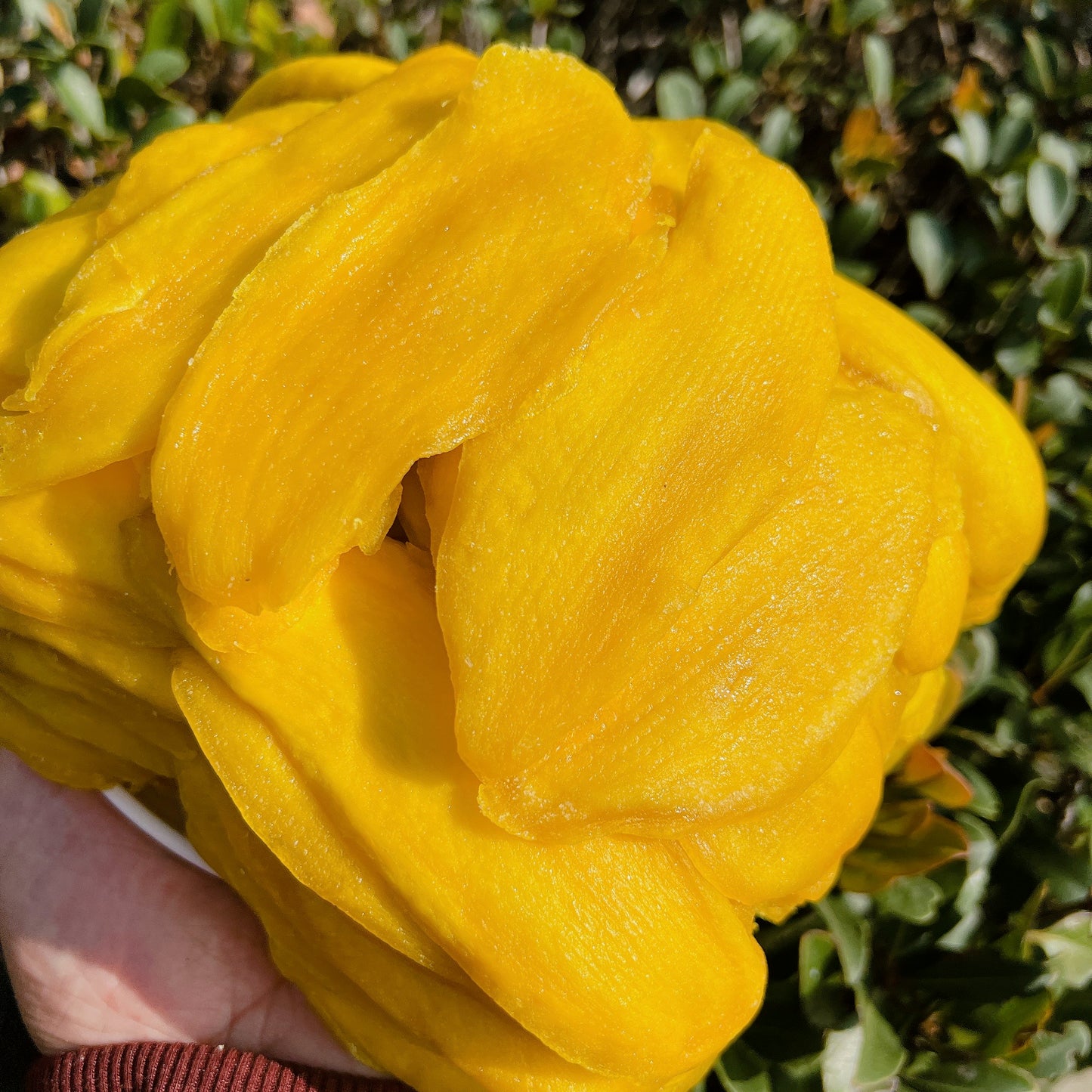 C60- Dried Mango - Xoài Sấy Dẻo Thượng Hạng