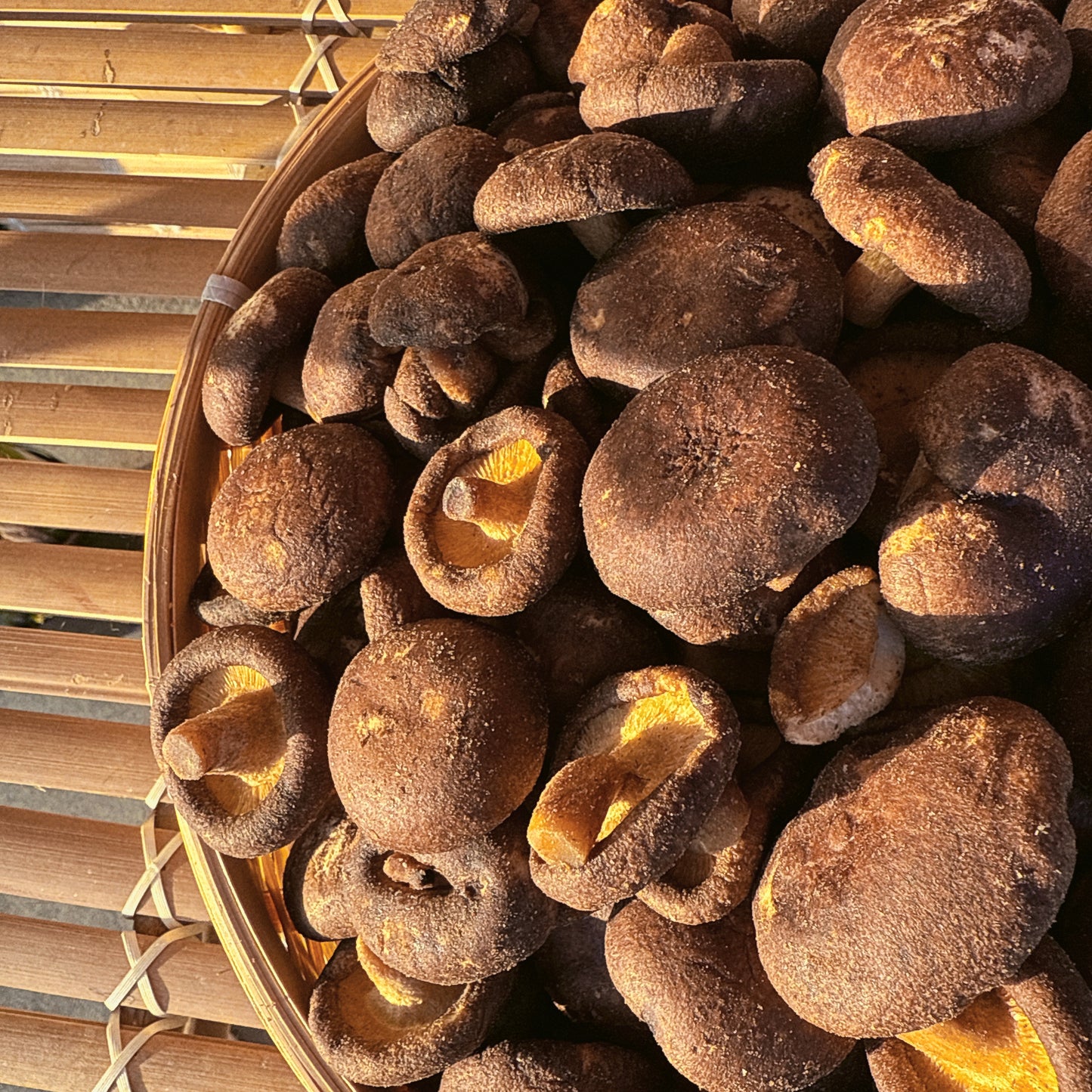 C28-crispy Mushroom -Nấm Đông Cô Sấy Giòn