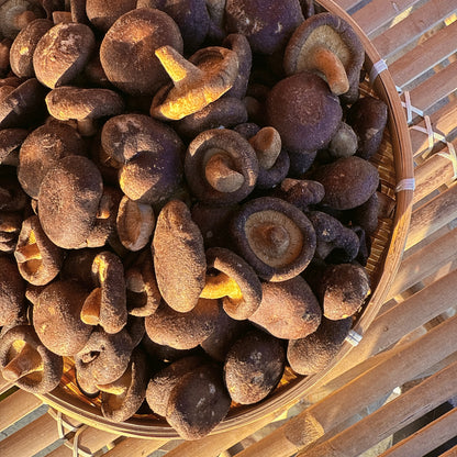 C28-crispy Mushroom -Nấm Đông Cô Sấy Giòn