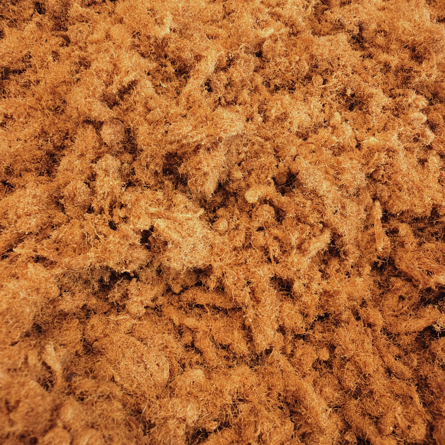 A46: Crispy Pork Sung - Chà Bông Sấy Giòn Nước Tương