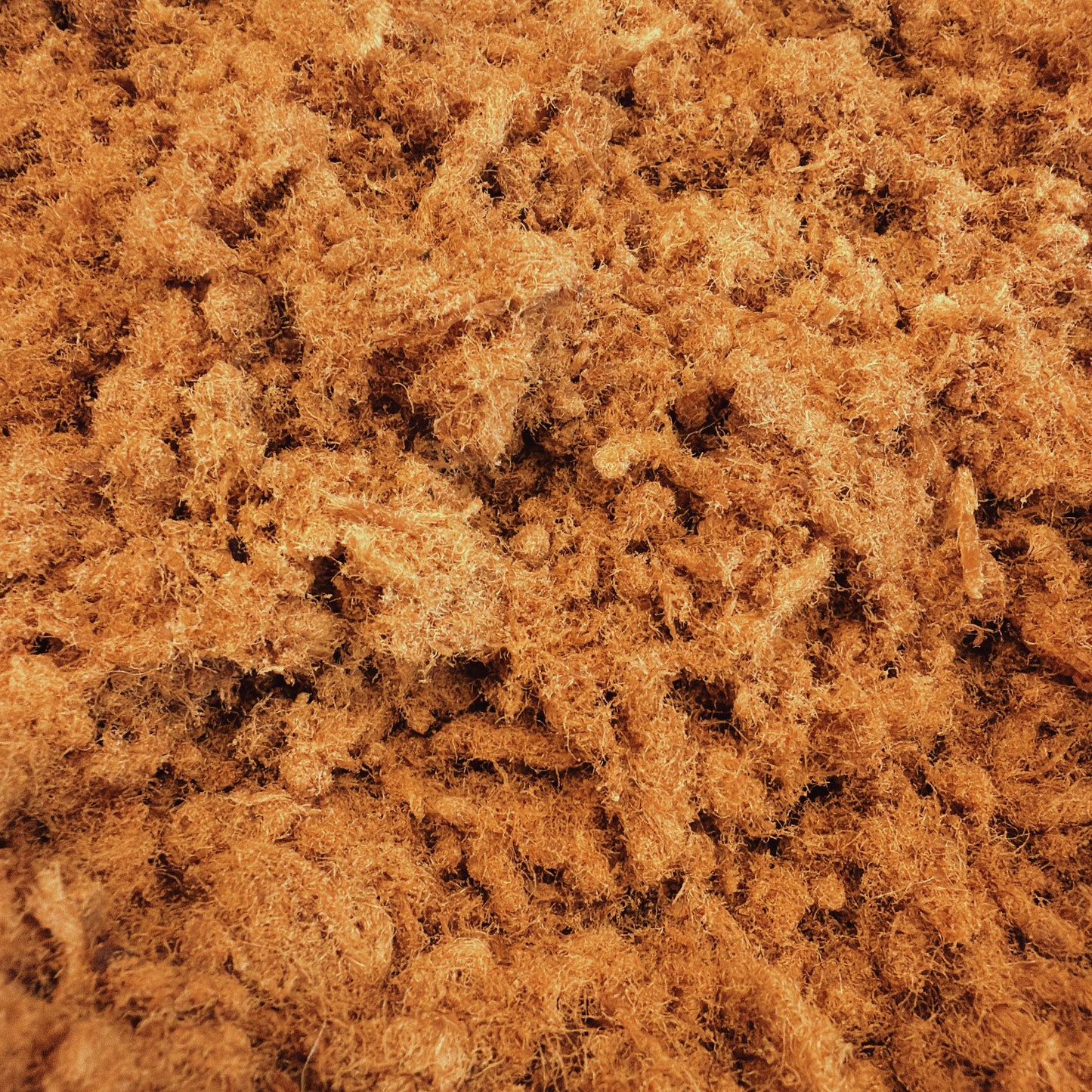 A46: Crispy Pork Sung - Chà Bông Sấy Giòn Nước Tương